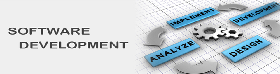 software development